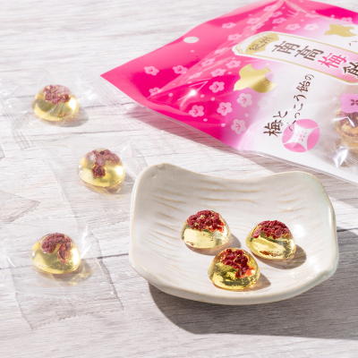 ふみこ農園 南高梅飴2