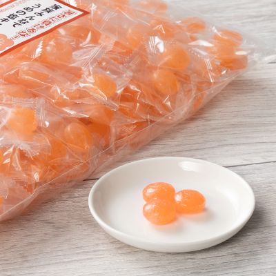 ふみこ農園　うめの塩キャンディ3