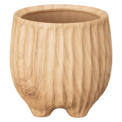 アクアテラポット スタンプ ヒノキ(ペペロミアアングラータ)3