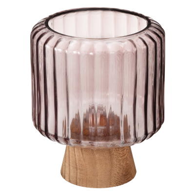 アクアテラポット タッツァ オーバル バーガンディー(ペペロミアココメロ)2