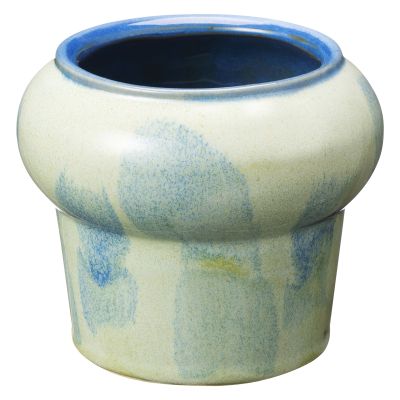 アクアテラポット　プランプ　ブルー（ペペロミア　ホープ）2