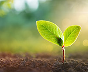 サステナビリティ報告（環境・社会活動報告）