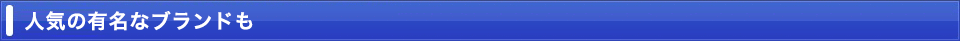 人気の有名なブランドも