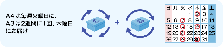 A4は毎週火曜日に、A3は２週間に１回、水曜日にお届け