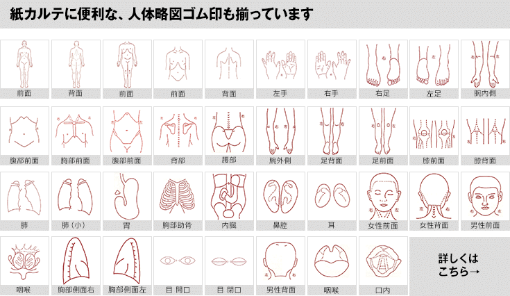 紙カルテに便利な、人体略図ゴム印も揃っています